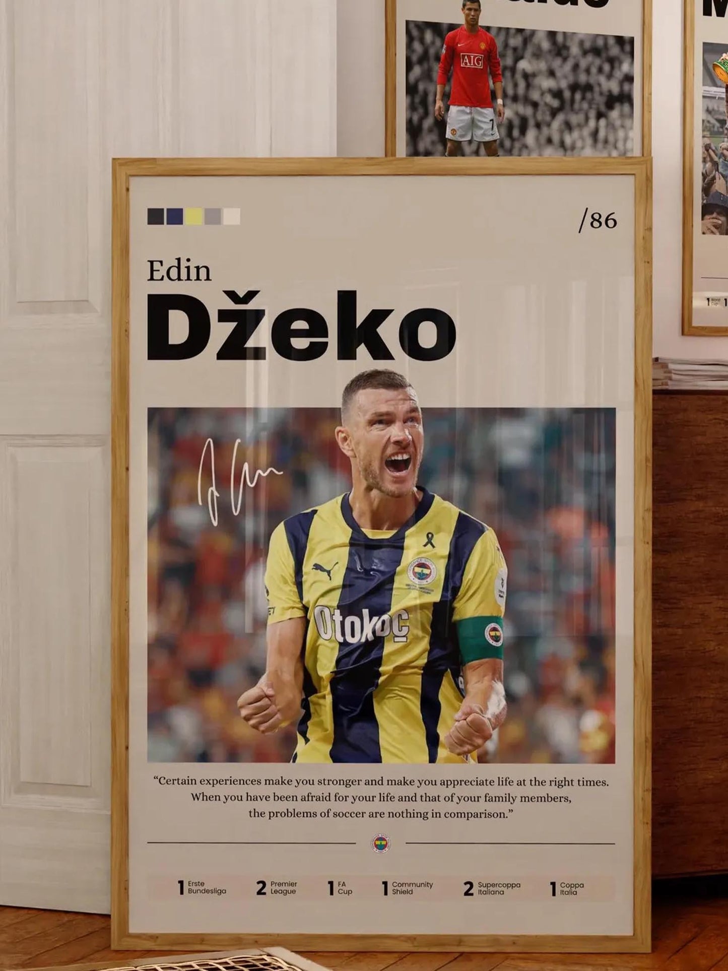 Edin Dzeko