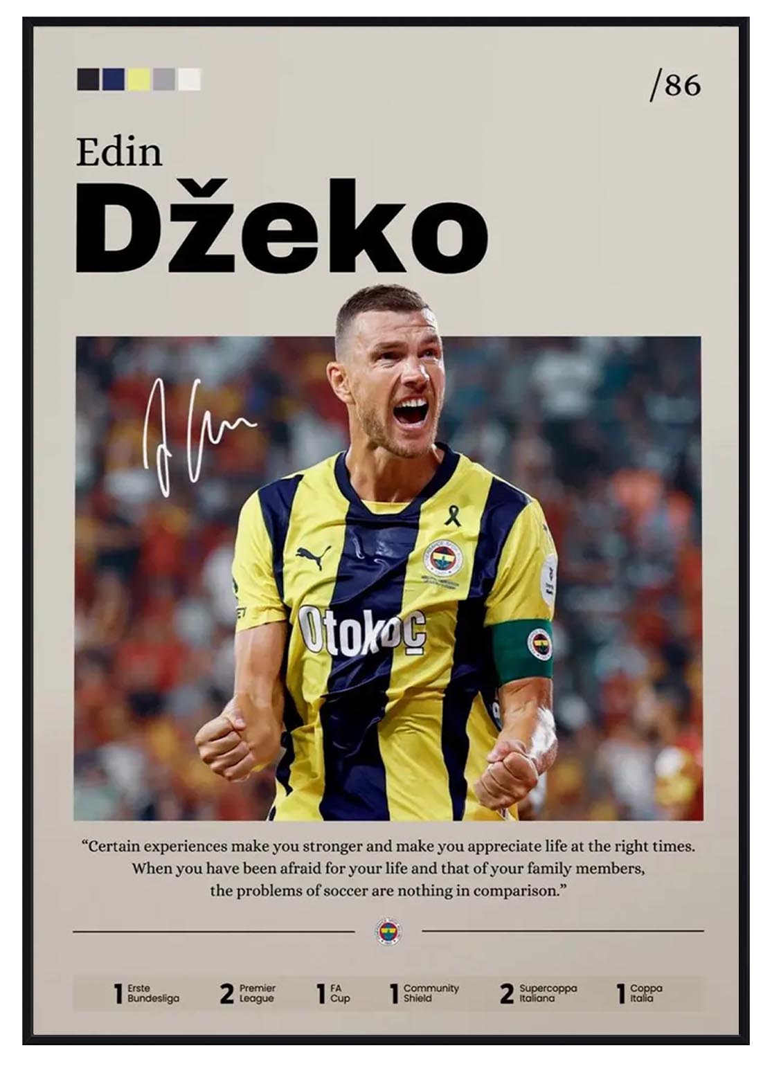 Edin Dzeko